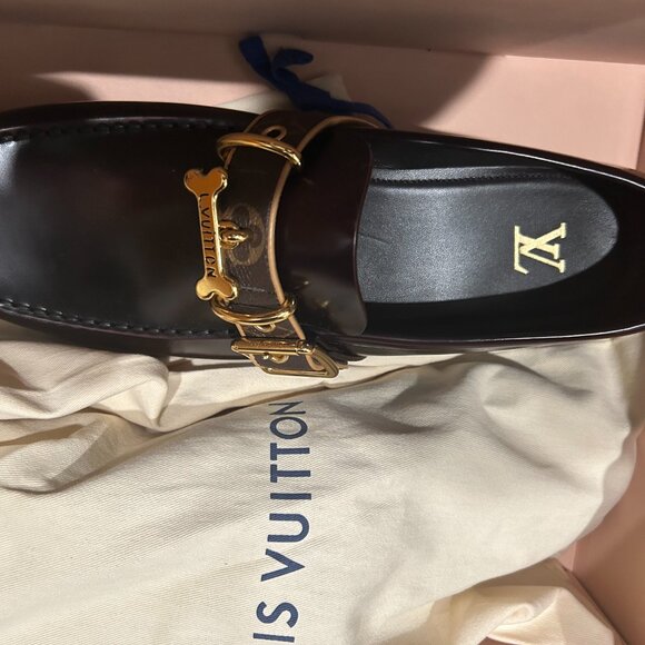 Limited Edition Louis Vuitton men\'s loafers
